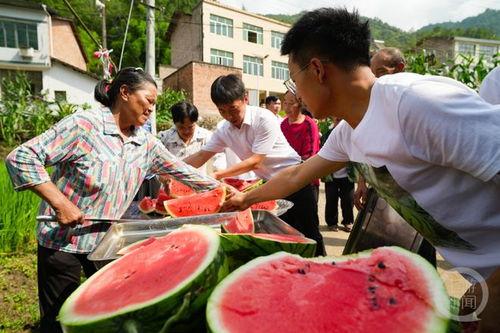 娱乐区吃瓜,揭秘明星们的“吃瓜”日常