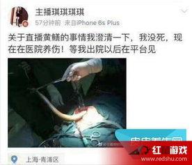 黄鳝门女主播琪琪火了,一夜成名引热议