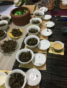 明星茶图片