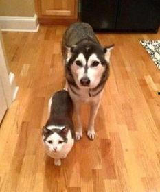 周取名搞笑,笑出腹肌的趣味之旅